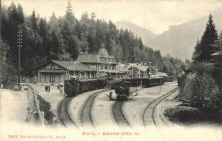 Brünig, Bahnhof / railway station with locomotive and trains (EK)
