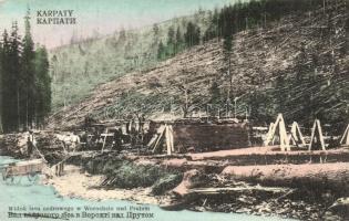 Vorokhta, Worochta, Worochcie nad Prutem (Carpathians); lasu cedrowego / logging with cedar forest, sawmill