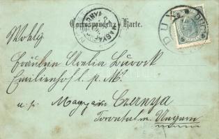 Duchcov, Dux; zima / winter view with lady's mini photo (fl)