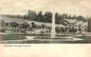 1911 Felsőzúgófürdő, Bad Ober Rauschenbach, Kupele Vysne Ruzbachy; fürdőház, Karolina nyaraló / spa and villa (EK)