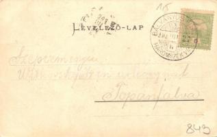 1903 Kézdivásárhely, Targu Secuiesc; Fő tér, Zalaváry Béla, Sera Imre, K. Csiszár József, Wertán Tes...