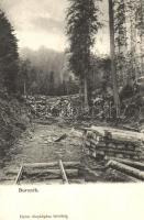 Borszék, Borsec; Fakitermelés az erdőben, fűrésztelep. Heiter fényképész / logging near the sawmill