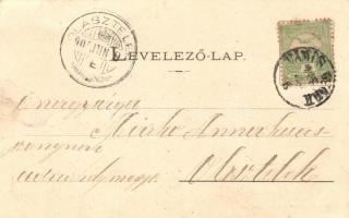 1905 Gyöngyös, Westphalen grófné sz. Auersperg hercegnő kastélya. Adler Zsigmond kiadása / castle