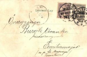 1902 Szeged, Kultúrpalota. Magyar zászlós litho keret / Hungarian flag litho frame (EK)