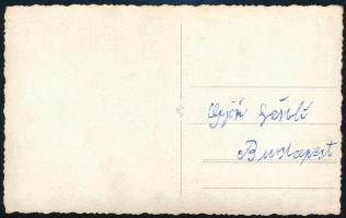 cca 1940 Magyar tisztek kitüntetésekkel, köztük repülős tiszt is, fotólap, hátulján feliratozva, 8,5...