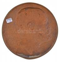 Telcs Ede (1872-1948) 1907. "Görgey Arthur 1907 VII-18." egyoldalas Br lemezplakett (180,5...