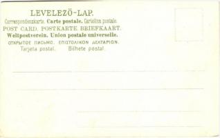 Budapest I. Buda látképe. Címeres és magyar bélyeges díszes képeslap. Philatelie-Ansichtskarte litho