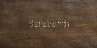 Szántó jelzéssel: Krumplipucoló. Olaj, vászon, sérült (lyukas),  sérült keretben, 60×40 cm