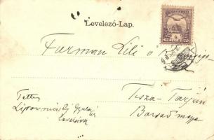 ~1900 Vác, Honvéd szobor felavatási ünnepsége. Floral, Art Nouveau litho keret  (EK)