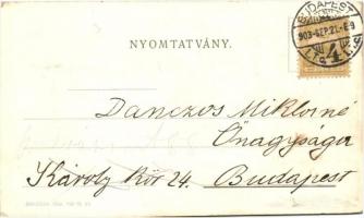 1903 Budapest V. Árvay János és Társa cs. és kir. udvari szállítók divat üzlete, Cégtulajdonos Mezey...