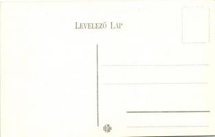 Budapest XIV. Jégvitorla a Városligeti tó jegén  (EK)