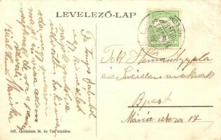 1910 Kál, Fő utca, Goldstein M. és társa vegyeskereskedése és saját kiadása (EK)