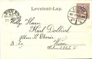 1901 Sopron, Oedenburg; Széchenyi tér az SVEV villamosával, Steinhofer József üzlete  (fa)