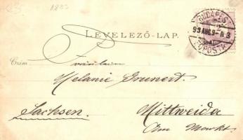 1893 (Vorläufer!) Budapest, Gellérthegy, Margit fürdő, Buda. Ottmar Zieher Art Nouveau, floral, lith...