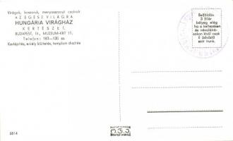 Budapest V. Hungária virágház, Múzeum körút 11