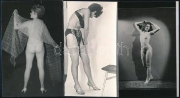 cca 1975 Vizuális üzenetek, szolidan erotikus felvételek, 5 db vintage fénykép, + 3 db vintage negatív (a papírkép és a negatívok nem azonos időben és helyen készültek), 14x9 cm és 24x36 mm között