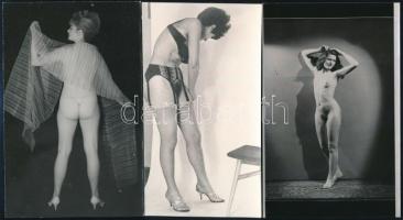 cca 1975 Vizuális üzenetek, szolidan erotikus felvételek, 5 db vintage fénykép, + 3 db vintage negatív (a papírkép és a negatívok nem azonos időben és helyen készültek), 14x9 cm és 24x36 mm között