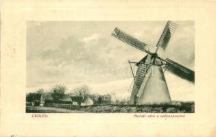 Cegléd, Molnár utca és szélmalom / windmill. W.L. Bp. 54.