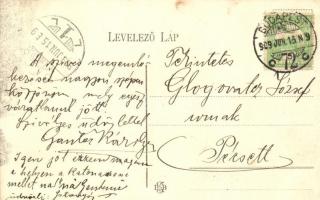 1909 Budapest XIV. Városliget, Wampetics F. vendéglő kerthelyisége, étterem, pincérek