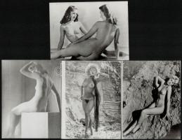 cca 1960 12 db erotikus fotó korabeli nagyítása, 12x9 cm