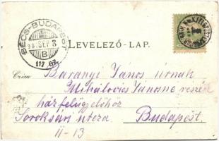 1900 Bán, Trencsénbán, Bánovce nad Bebravou; Római katolikus templom, városháza, Gróf d'Hareour...