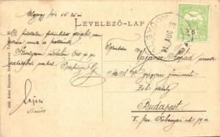 1914 Algyógyfürdő, Geoagiu; utcakép, Reisner J. vendéglője, bor és sör csarnoka. Adler fényirda 1908...