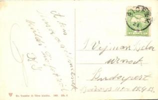 Siófok, Balatoni halászok halsütés közben