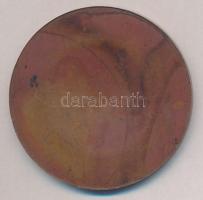 DN "Ejtőernyő Bakony Kupa - Veszprém" egyoldalas Br plakett (61mm) T:2