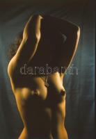 cca 1975 Női dolgok, szolidan erotikus felvételek, 9 db vintage negatív és diapozitív, 6x6 cm és 24x...