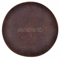 DN "HVDSZ Liszt Ferenc Férfikar" egyoldalas Br plakett (83mm) T:1-,2