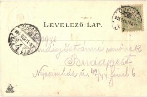 1905 Újvidék, Novi Sad, Neusatz; Római katolikus templom. Fecskés dombornyomott litho keret. Herger ...