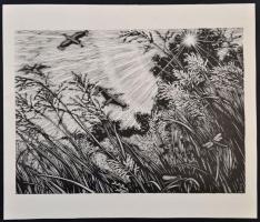 Gy. Szabó Béla (1905-1985): Vízparton, 2 db fametszet, papír, jelzettek a dúcon, különböző méretben