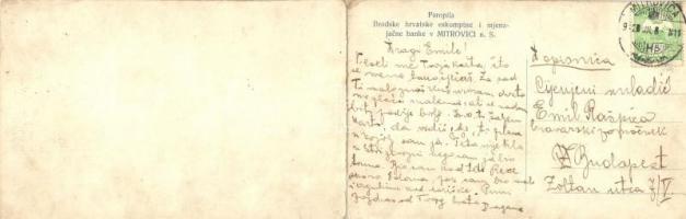 Szávaszentdemeter, Mitrovitz an der Save, Sremska Mitrovica; Papírgyár fűrésztelepe / Paropila, Brod...