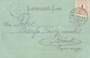 1899 Sopron, látkép. Schwarz Károly kiadása (EK)