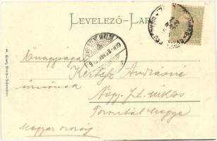 Szászváros, Broos, Orastie; liget. Montázslap karikázó kislánnyal. H. Graef / park, montage with pla...