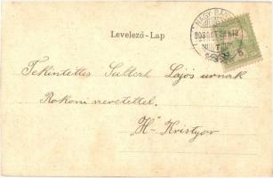 1903 Arad, Szabadság tér üzletekkel. Magyar zászlós litho keret / square with shops. Hungarian flag ...