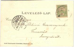 1905 Pancsova, Pancevo; utcakép üzletekke. Lóherés dombornyomott litho keret / street view with shop...