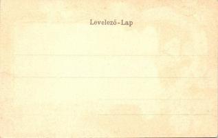 Szatmárnémeti, Szatmár, Satu Mare;  Igazságügyi palota. Lóherés és patkós litho keret / Palace of Ju...