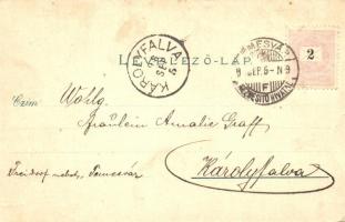 1898 Temesvár, Timisoara; Józsefvárosi zárda, honvédiskola, Corvina könyvnyomda, színház, bíróság / ...