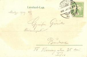 1909 Medgyes, Mediasch, Medias; liget, háttérben a kapu és a templom. Kiadja Guggenberg Frigyes / pa...