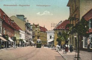 14 db régi erdélyi városképes lap / 14 pre-1945 Transylvanian town-view postcards