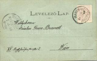 1899 Marosvásárhely, Targu Mures; Boldog Új Évet! Holbach E. kiadása / New Year greeting