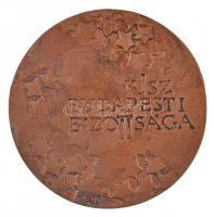 Asszonyi Tamás (1942- ) DN "Kiváló Propaganda Munkáért / KISZ Budapesti Bizottsága" Br pla...