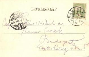 1903 Arad, Nemzeti és nyári színház, Zilahy Gyula igazgató. Bloch H. nyomda kiadása / theatres with ...