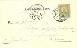 1904 Dunaszerdahely, Dunajská Streda; Adóhivatal, Kaszinó / customs office, casino. Art Nouveau, flo...