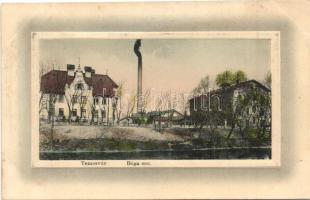 Temesvár, Timisoara; Béga sor gyárral. W.L. Bp. No. / River Bega with factory