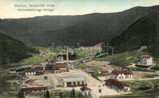 1909 Resica, Resita; Falepároló telep / Holzverkohlungs-Anlage / sawmill