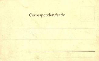 Vítkovice, Witkowitz; Walzhütte / iron works, factory  (EK)