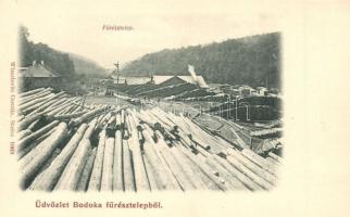 Bodóka, Bodovka; Neuschloss Károly és fia fűrésztelepe. Wlaszlovits Gusztáv / saw mill