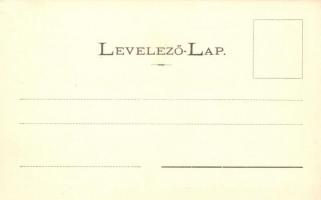 Bodóka, Bodovka; Neuschloss Károly és fia fűrésztelepe. Wlaszlovits Gusztáv / saw mill